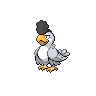 Squawkabilly-White