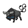 Tauros-Paldea-Aqua