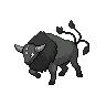 Tauros-Paldea-Combat