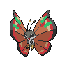 Vivillon-Archipelago
