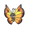 Vivillon-Continental