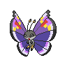 Vivillon-Elegant