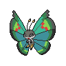 Vivillon-Garden