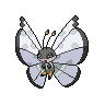Vivillon-Icy Snow