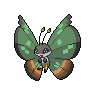 Vivillon-Jungle