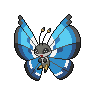 Vivillon-Marine