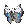 Vivillon-Monsoon