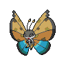 Vivillon-River