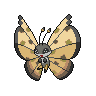 Vivillon-Sandstorm